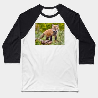 Red Fox Kit in Forest Baseball T-Shirt